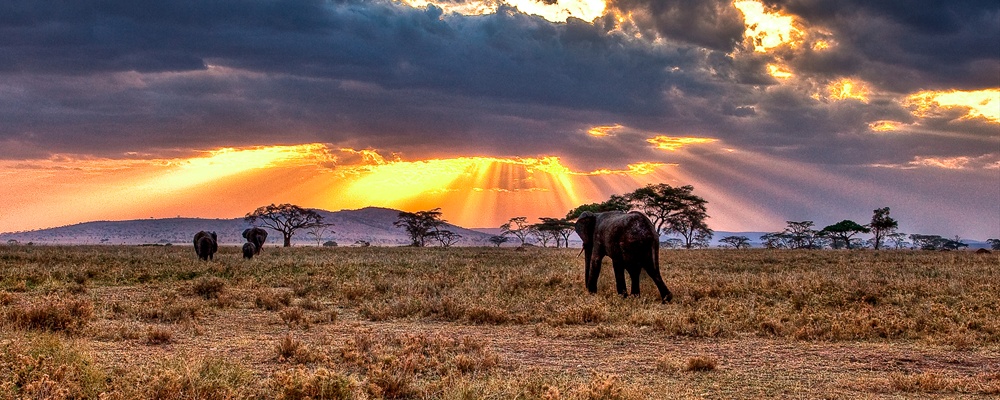 De volta para casa / Going Back Home